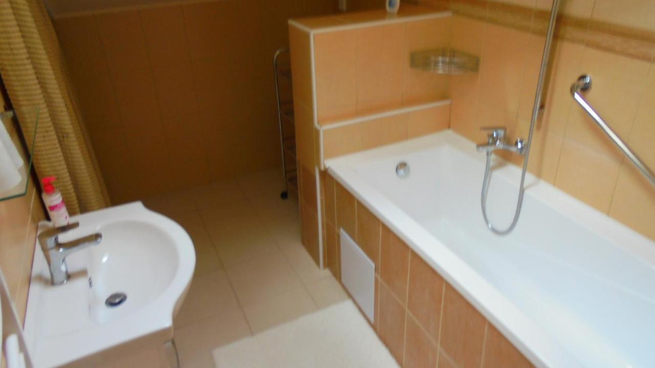 Apartman Aya Janov nad Nisou Exterior photo