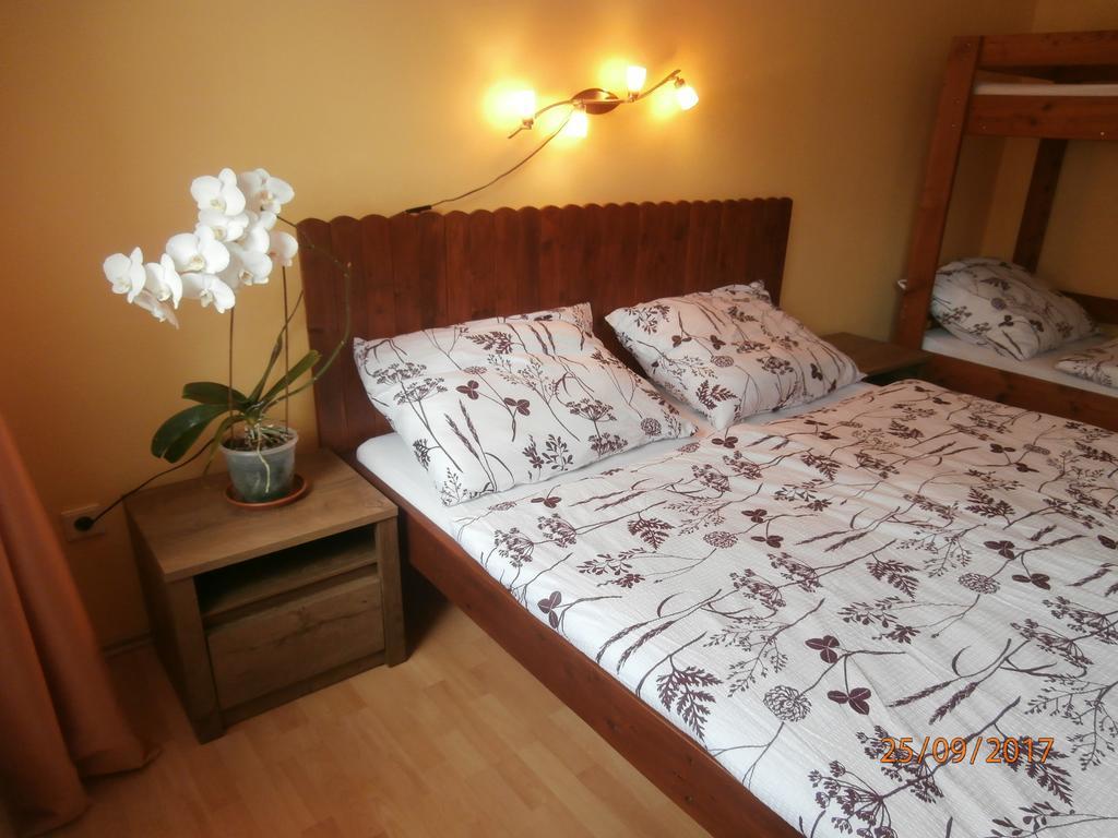 Apartman Aya Janov nad Nisou Exterior photo