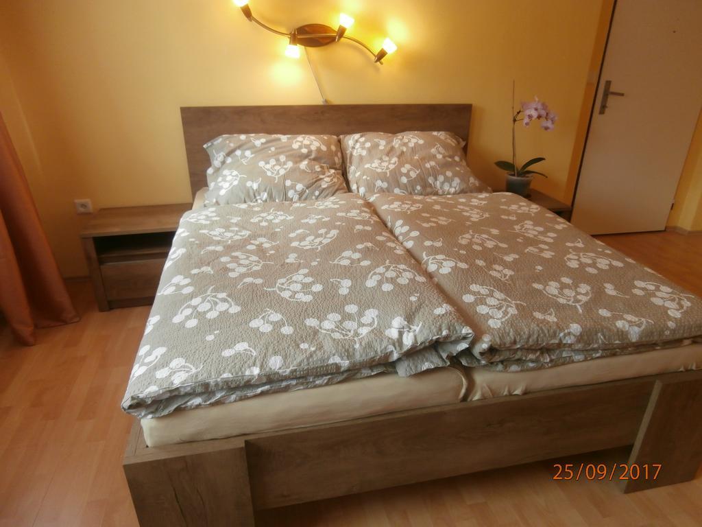 Apartman Aya Janov nad Nisou Exterior photo